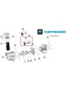 ENLACES 32-38MM BOMBA POWER FLO II HAYWARD SPX8100UNBPAK