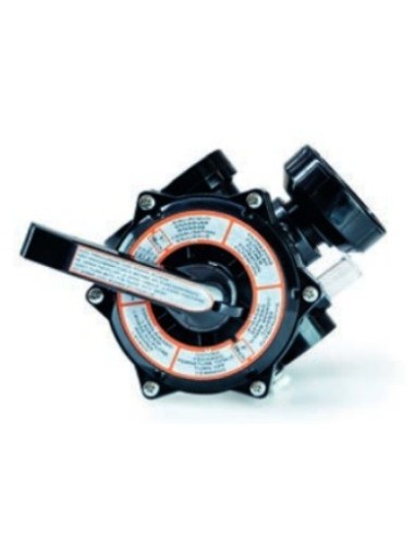 VALVULA SELECTORA 6 VIAS FILTROS QP