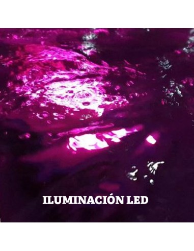 LIMPIAFONDOS BWT TORNADO D400 ref.125347