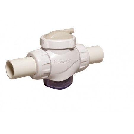 CLORADOR  SALINO SALT & SWIM HAYWARD