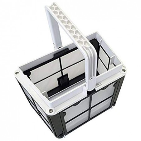 CESTA COMPLETA FILTROS PRIMAVERA DOLPHIN 9991459-ASSY